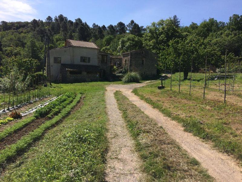 Deux Chambres D Hotes Attenantes Avec Salon Salle A Manger Privatif En Cevennes Gardoises Сен-Жан-дю-Гар Екстер'єр фото