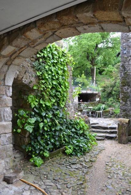 Deux Chambres D Hotes Attenantes Avec Salon Salle A Manger Privatif En Cevennes Gardoises Сен-Жан-дю-Гар Екстер'єр фото